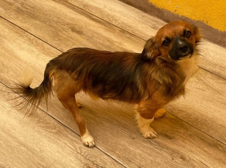 multimedia-foto74912-996-1