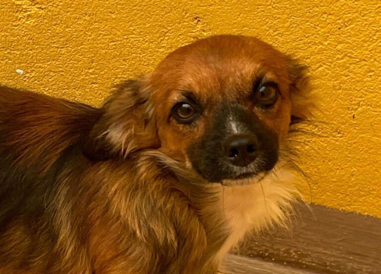 multimedia-foto74913-996-1