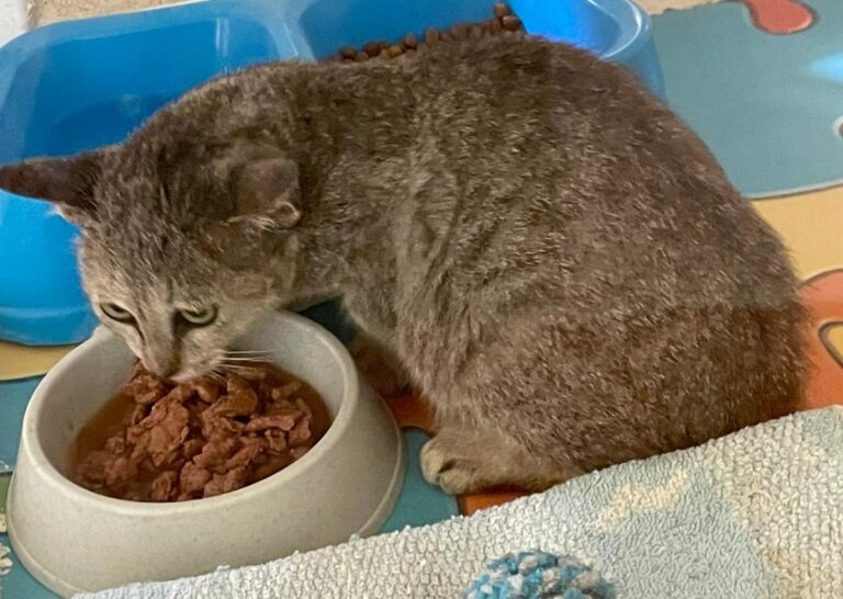 multimedia-foto74933-859-1