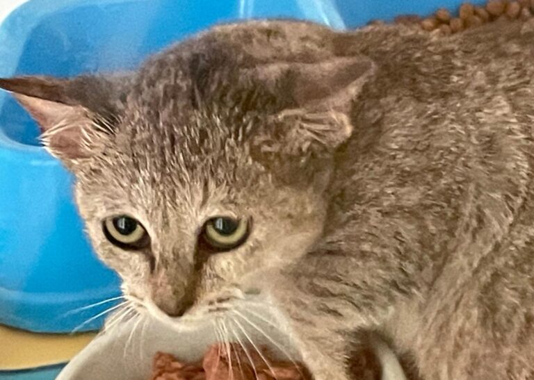 multimedia-foto74937-859-1