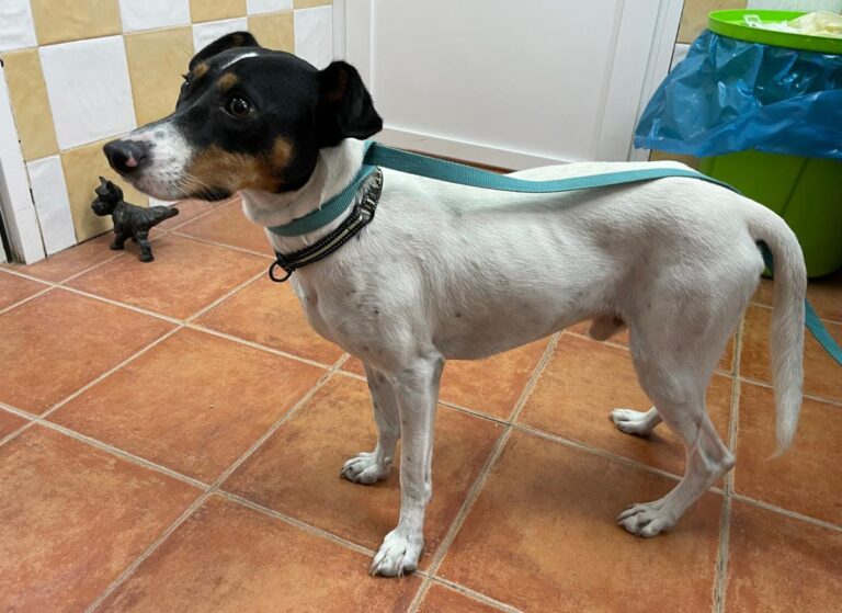 multimedia-foto74968-842-1