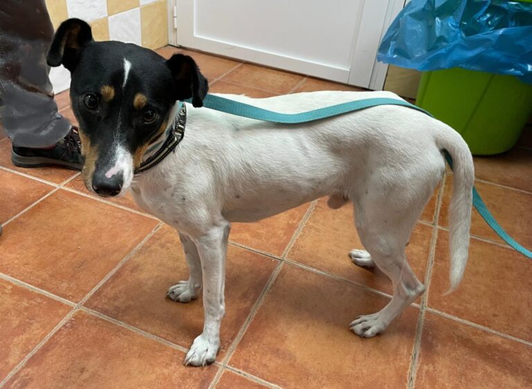 multimedia-foto74969-842-1