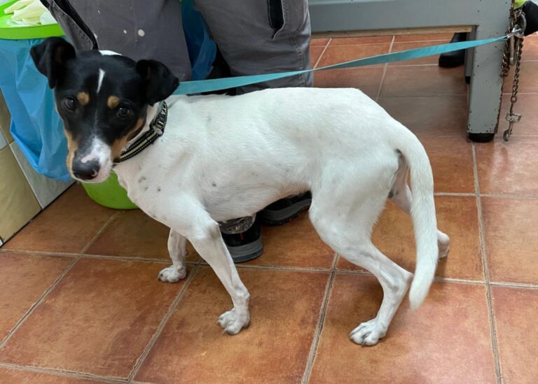 multimedia-foto74970-842-1