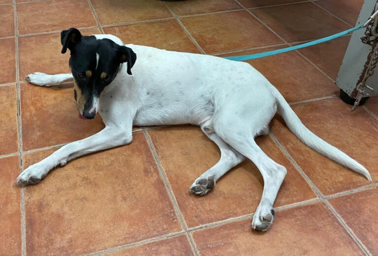 multimedia-foto74971-843-1