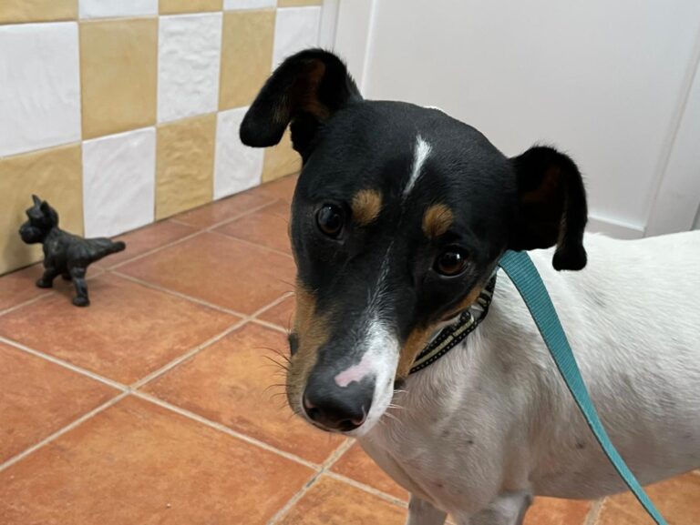 multimedia-foto74972-843-1