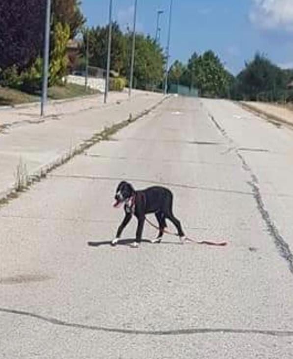 multimedia-foto74980-564-1