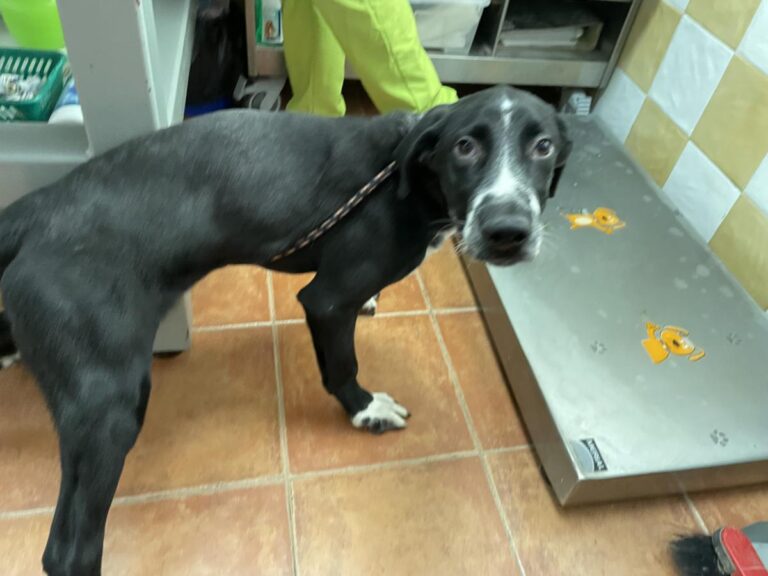 multimedia-foto74981-564-1