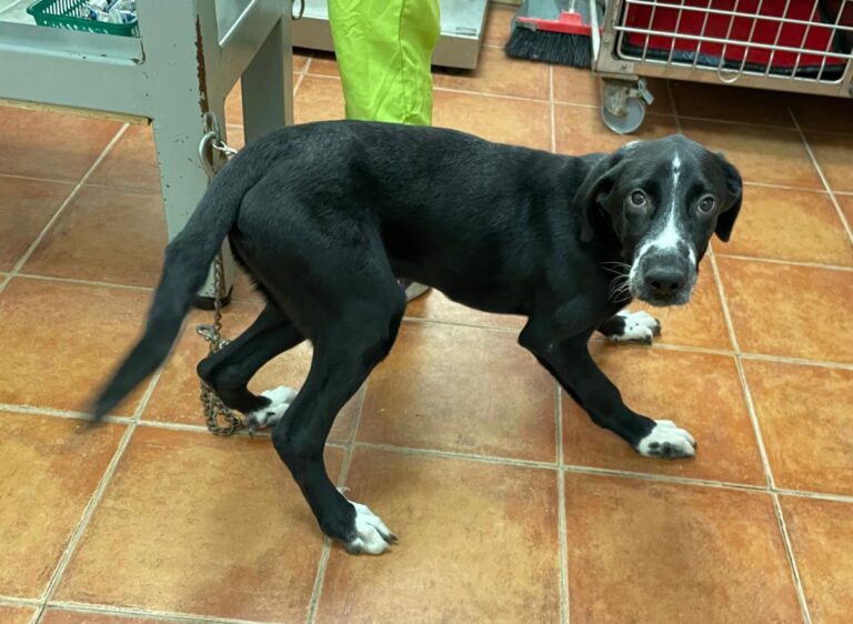 multimedia-foto74982-565-1