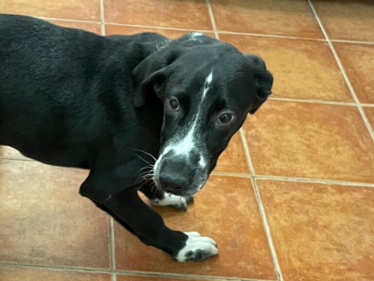 multimedia-foto74983-565-1