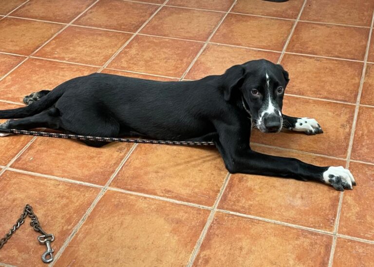 multimedia-foto74984-565-1