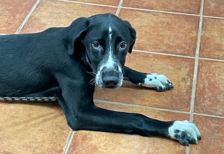 multimedia-foto74985-565-1