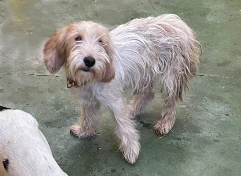 multimedia-foto75009-843-1