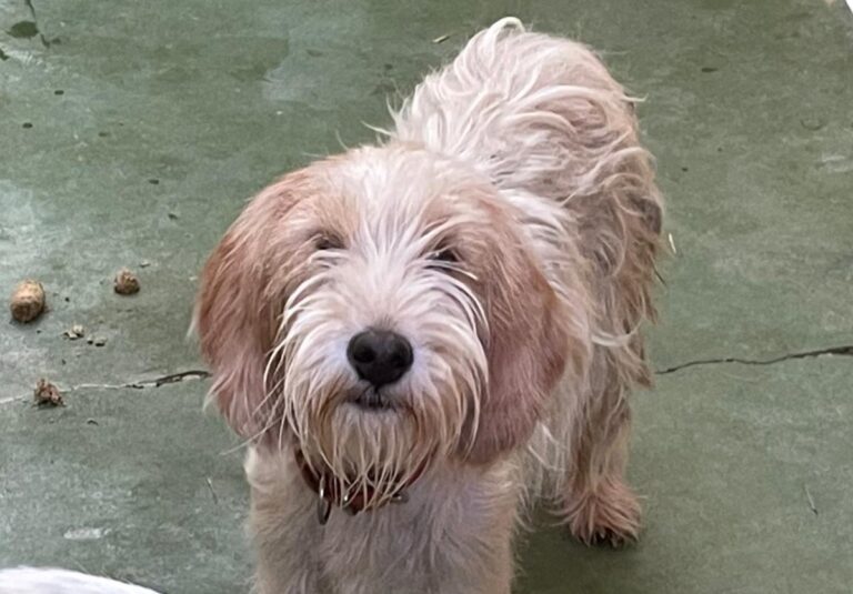 multimedia-foto75010-843-1