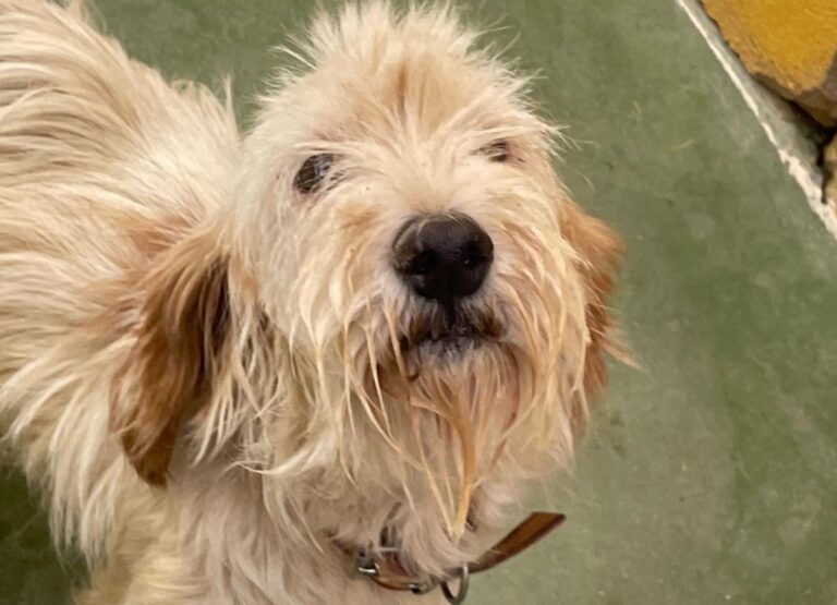 multimedia-foto75011-843-1