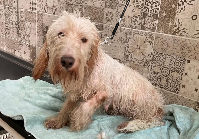 multimedia-foto75012-844-1