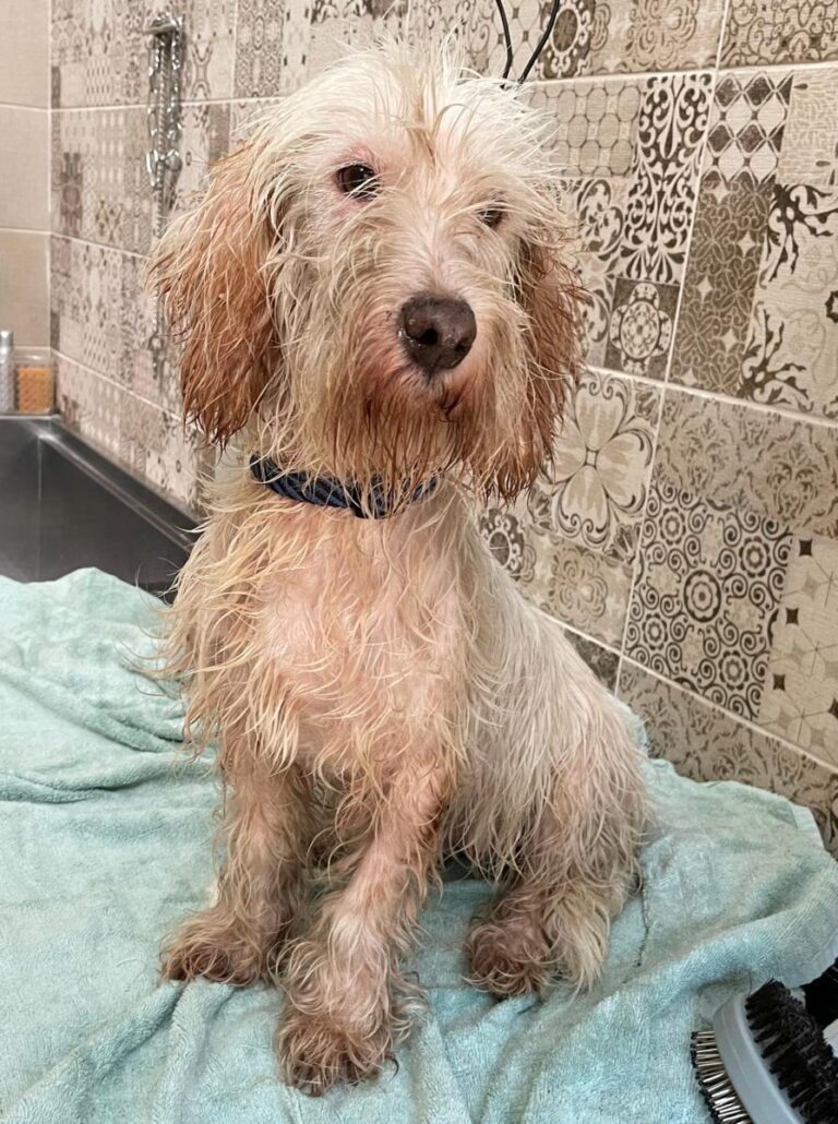 multimedia-foto75013-844-1