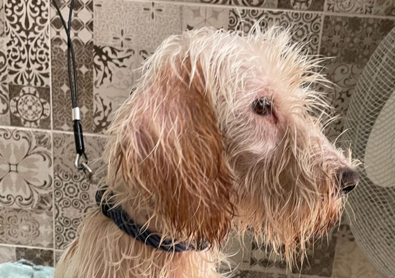 multimedia-foto75014-844-1