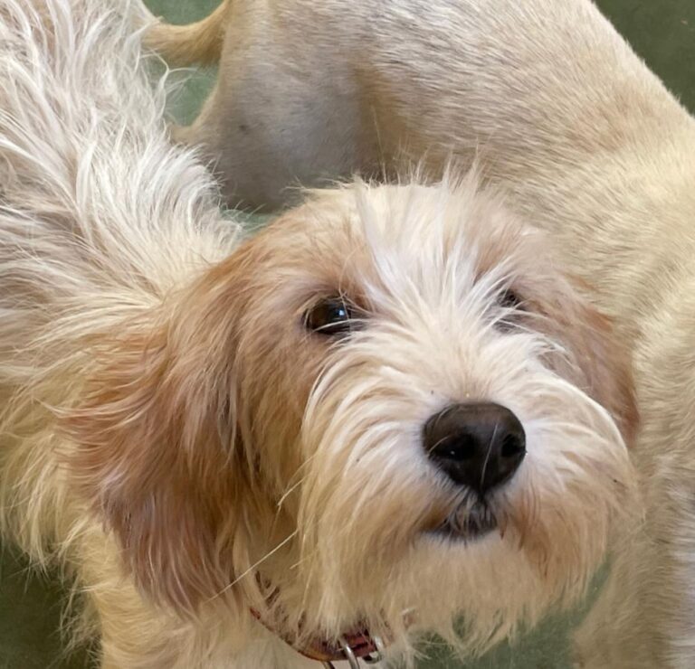 multimedia-foto75015-844-1