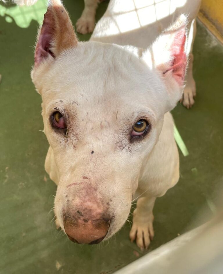 multimedia-foto75019-541-1