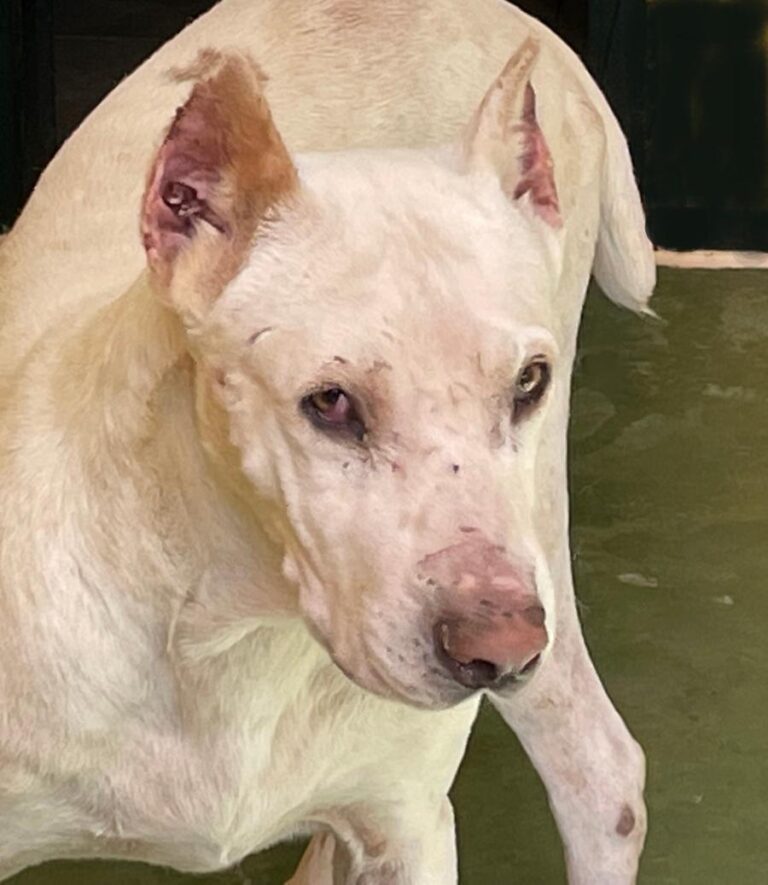 multimedia-foto75020-541-1