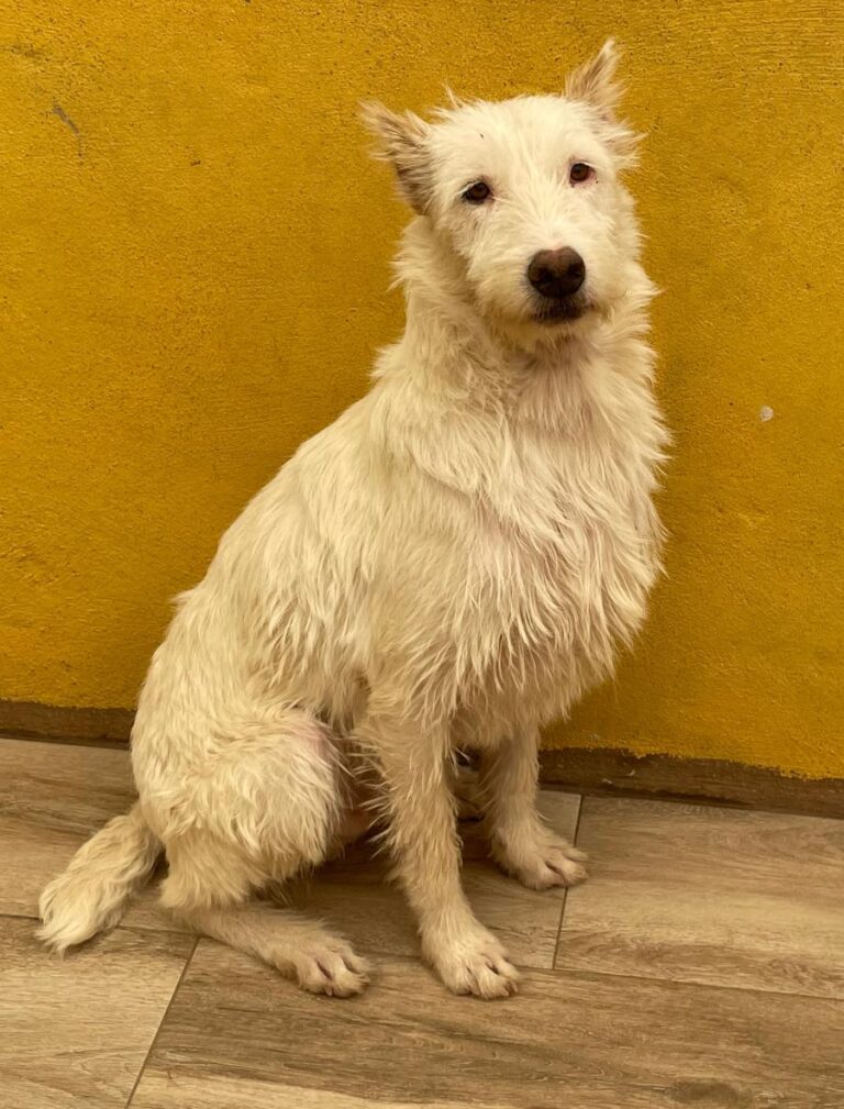 multimedia-foto75021-728-1