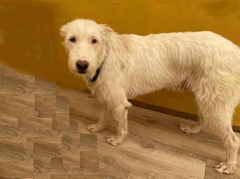 multimedia-foto75024-729-1