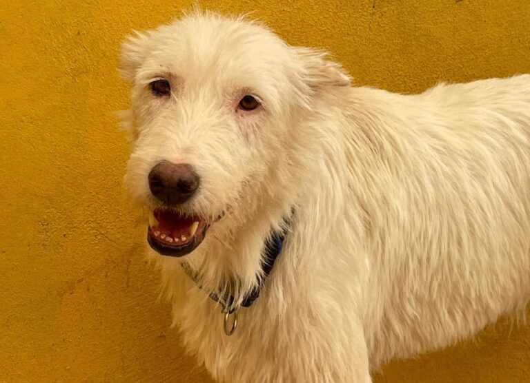 multimedia-foto75025-729-1