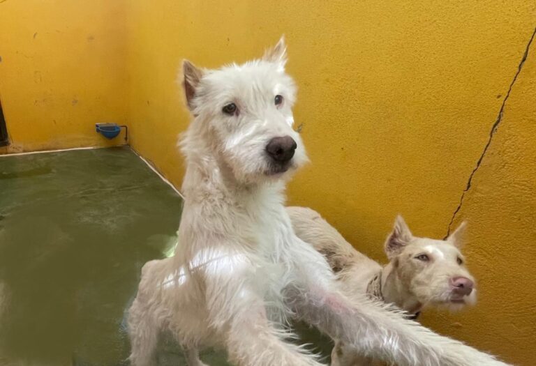 multimedia-foto75026-729-1