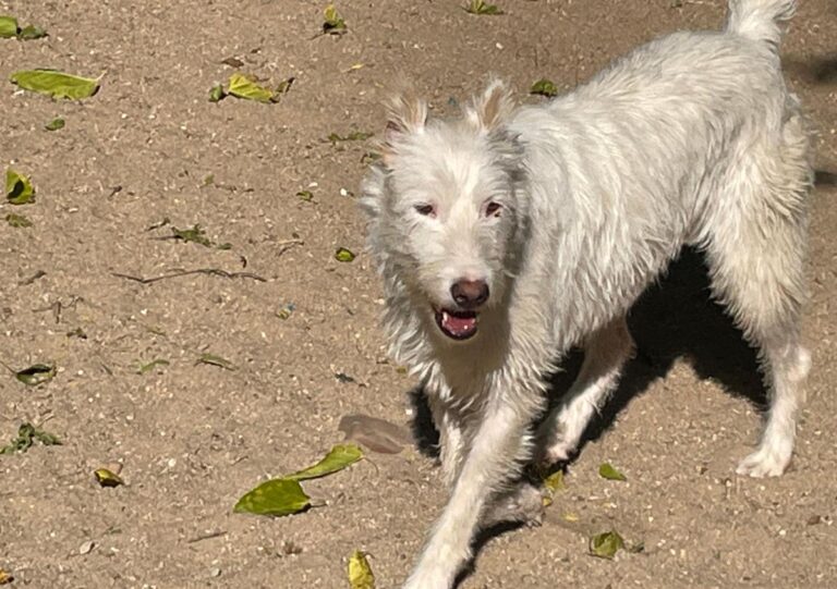 multimedia-foto75027-729-1