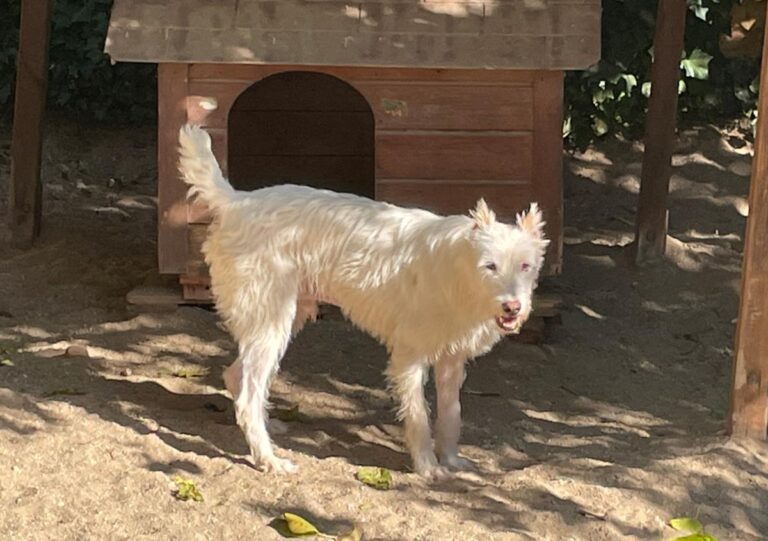 multimedia-foto75028-729-1