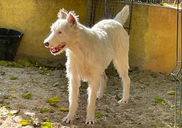 multimedia-foto75030-730-1