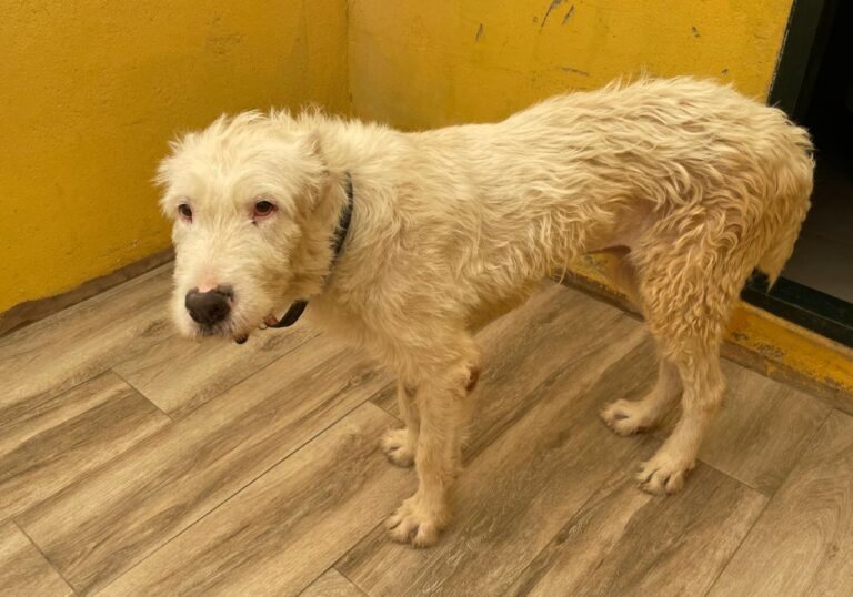 multimedia-foto75043-30-1