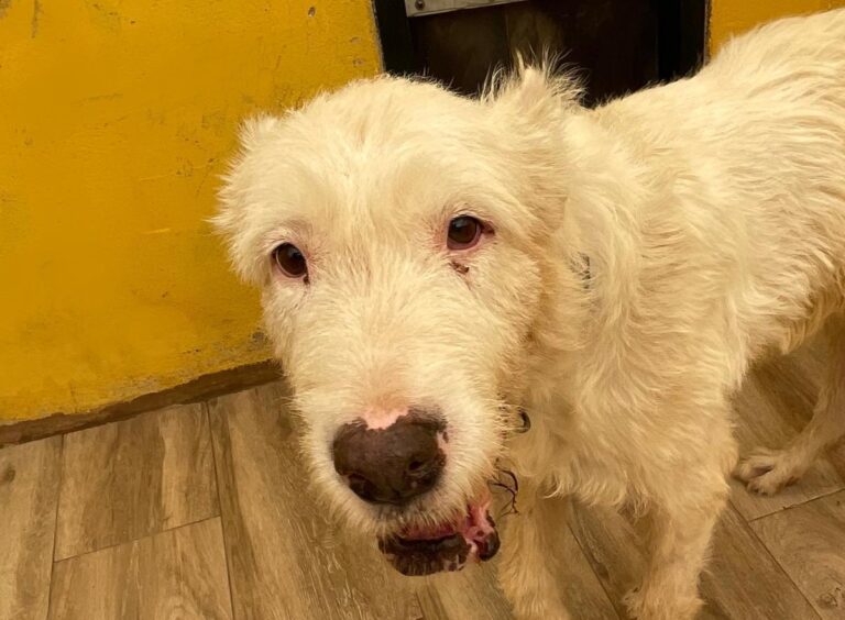 multimedia-foto75044-30-1