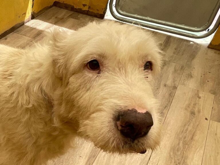 multimedia-foto75045-30-1