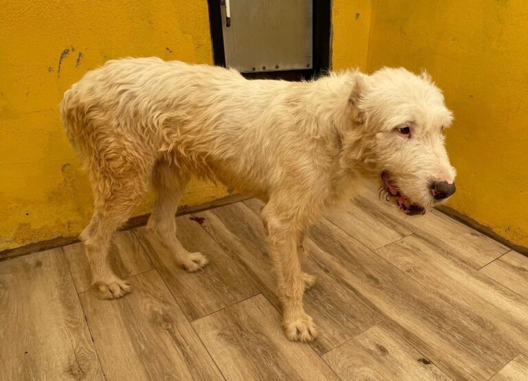 multimedia-foto75046-30-1