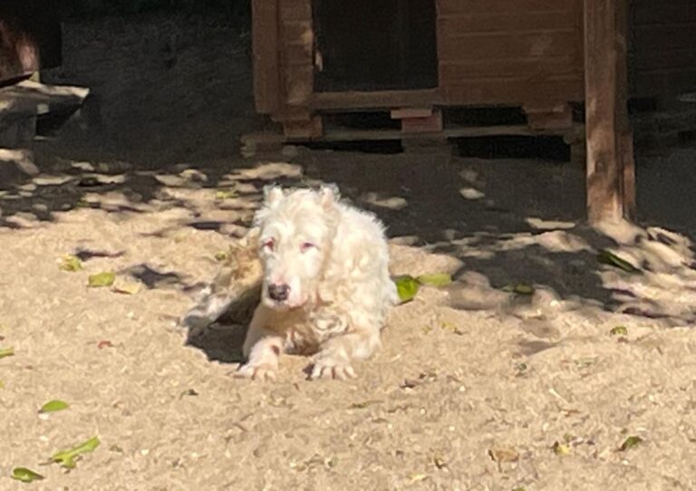 multimedia-foto75047-30-1