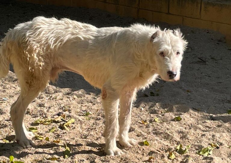 multimedia-foto75048-31-1