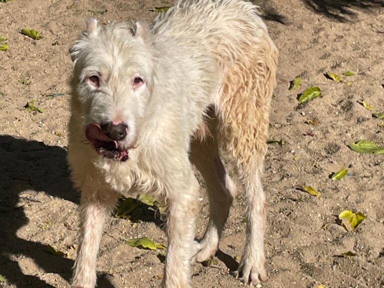 multimedia-foto75049-31-1