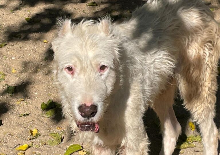 multimedia-foto75050-31-1