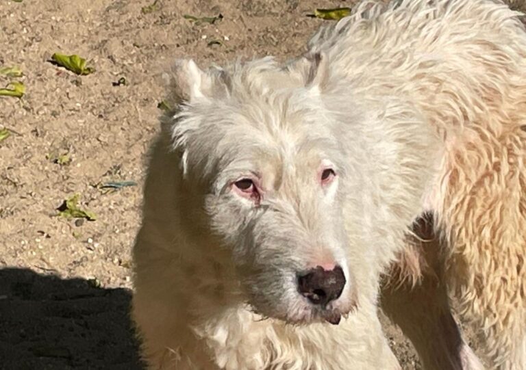 multimedia-foto75051-31-1