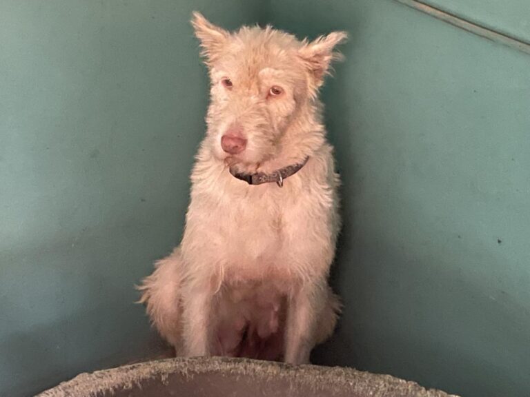 multimedia-foto75071-492-1