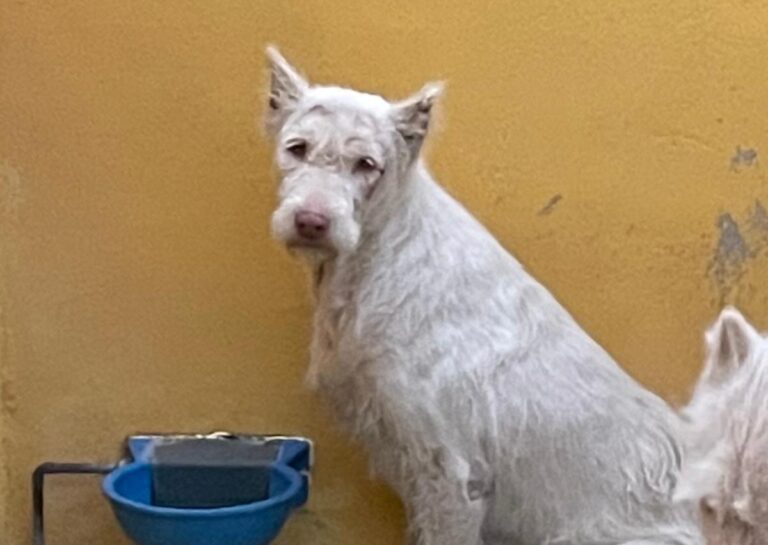 multimedia-foto75073-493-1