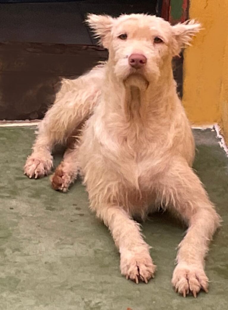 multimedia-foto75074-493-1