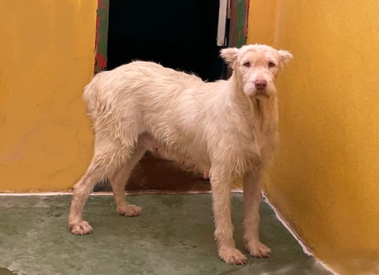 multimedia-foto75075-493-1