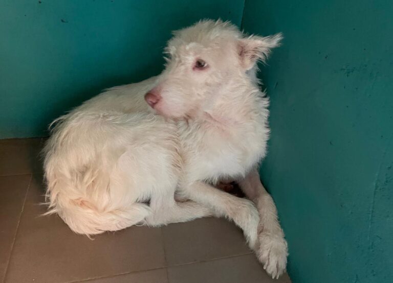 multimedia-foto75076-493-1