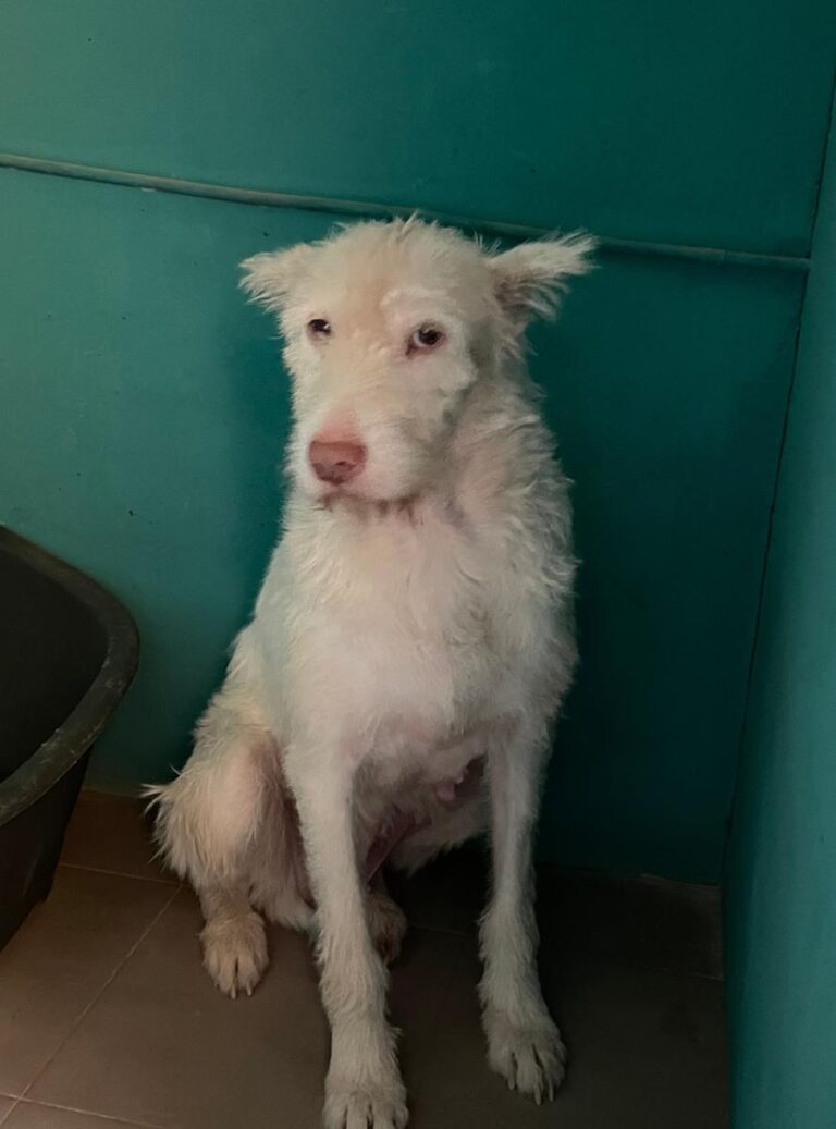 multimedia-foto75077-493-1