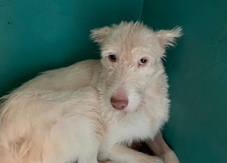 multimedia-foto75078-494-1