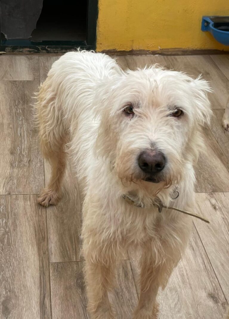 multimedia-foto75114-440-1