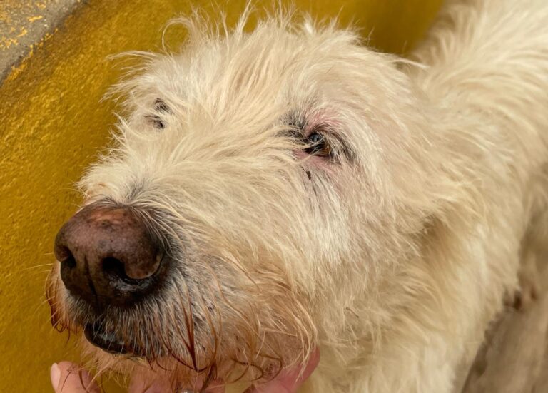 multimedia-foto75116-440-1