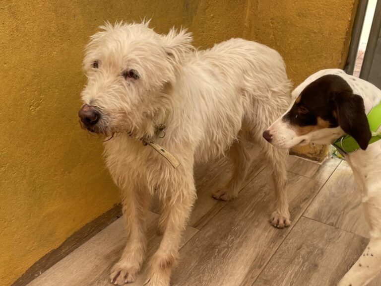 multimedia-foto75117-440-1